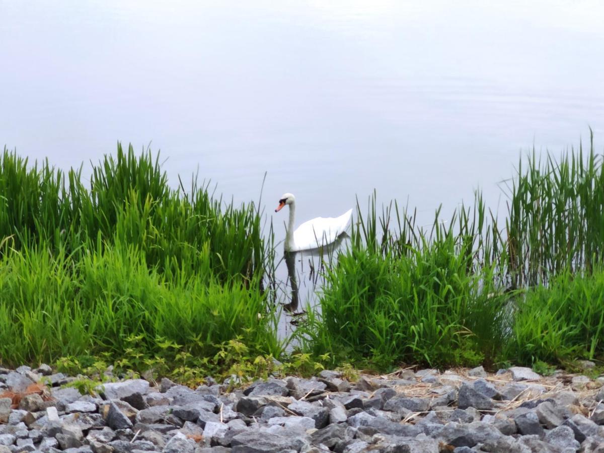 Miodowa Sadyba Domki Caloroczne Kluczbork Ligota Zamecka Exterior foto